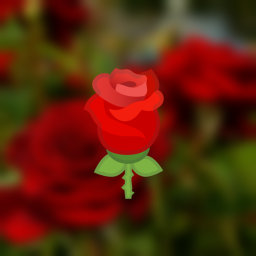 Dead🌹