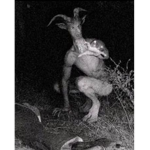Disciples of Goatman