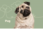 Pug pals aye!!