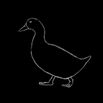 Duck8Track