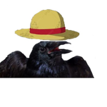 the strawhatcrows