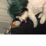 Errordemon