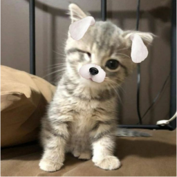 ‹𝟹