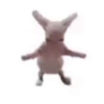 Bogs bog