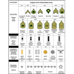 Roblox studio group n