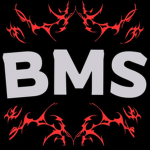 BY BMS