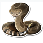 #PythonNation