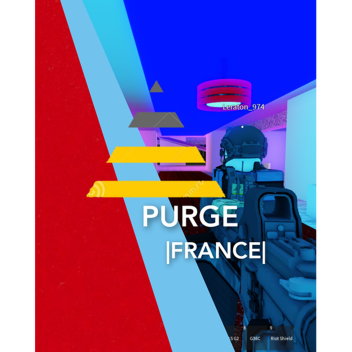 PURGE |FRANCE| 3.0.3