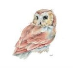 !Owls!