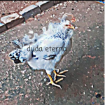 Nós somos todos