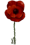 int _ = *(int*)47;