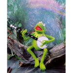 Frog school
