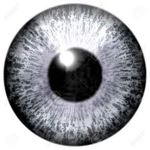 Wondering Watchers