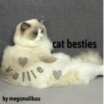 - cat besties -