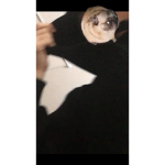 Katya7_6