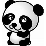 Panda's creative clothing
