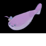 Xuhrium