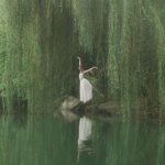 ‘•*Mossy Lake*•’