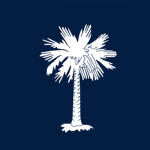 Palmetto Interactive