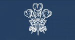 Prince of Wales's Company, Welsh Guards