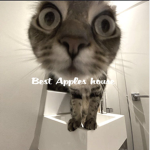 Best_Apples