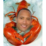 Lobster studio group