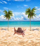 Crabs Forever United