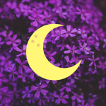 moonlight:)(: