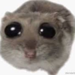 roctivision