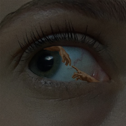 🕸️