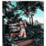 -Soph's Garden