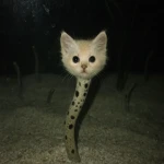 Gato Creative Group Thumbnail