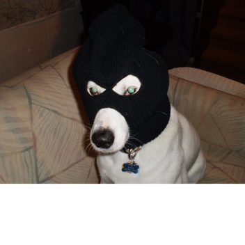 AFK until TIX come back