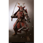 Samurai Warrior