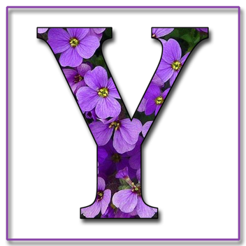 Letter Y