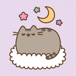 gato guapos