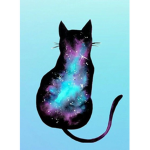 Thatcatmaddy_offical•