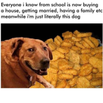 I like chicken nuggets -.-