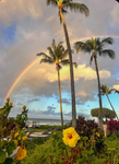 -Hawaii updates-