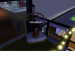 - hølly -