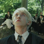 Draco Malfoy Cult