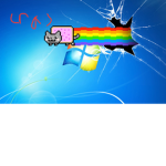 rainbow shop's