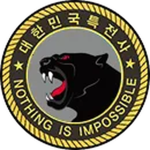 SWC | The 13th Special Mission Brigade