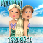 HAVANAA