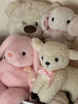 Aesthetic Dania Sheep Group~
