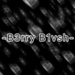 -B3rry B1vsh-