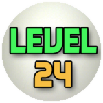 Level 24