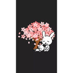 Bunny - bear group!