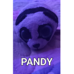 Pandy's group of cheese