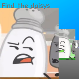 Find The Daisys